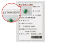 NGTC证书查询鉴定全攻略