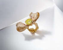 CINDY CHAO（赵心绮）“GEM ART 稀世·传承──艺术彩钻”高级珠宝系列：35颗稀世彩钻
