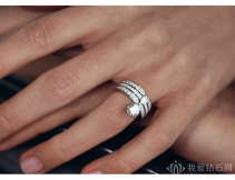 小众不贵的外洋钻戒品牌有哪些？